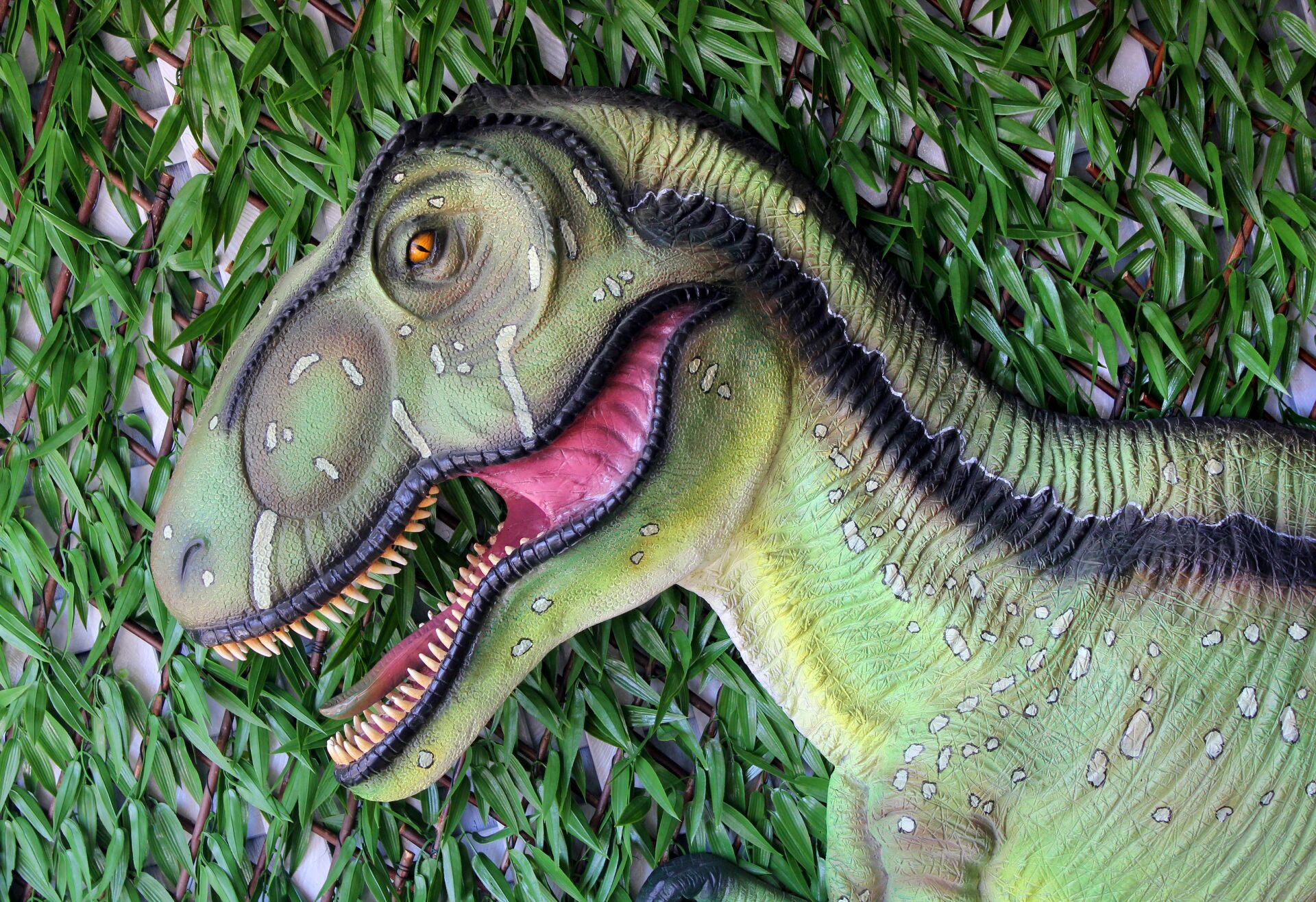Динозаврлар бии белгән